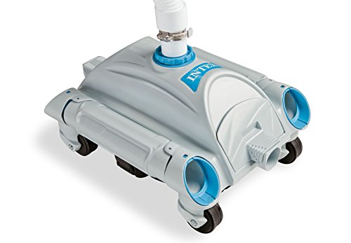 Intex Auto Pool Cleaner Review