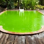 How to get algae out of pool without a vacuum