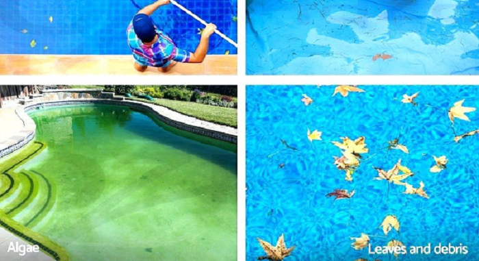 How to get algae out of pool without a vacuum - Signs of Algae in your pool